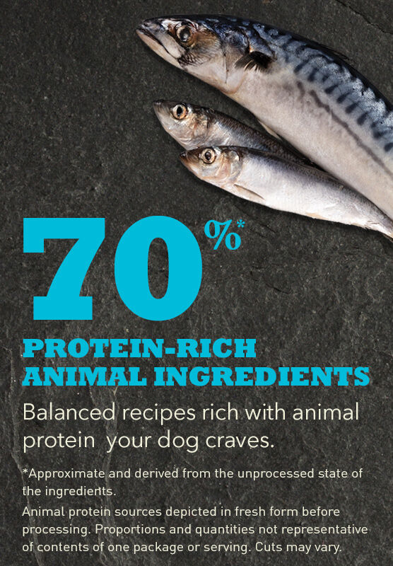 Acana wild mackerel cheap